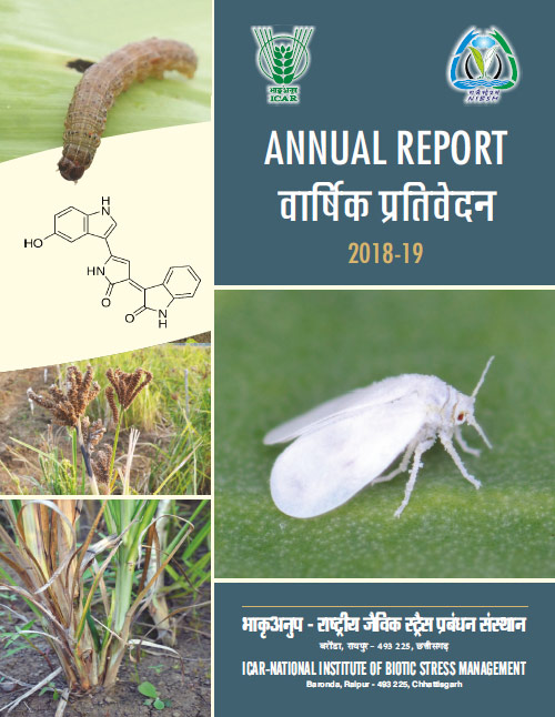 annual-report-2018