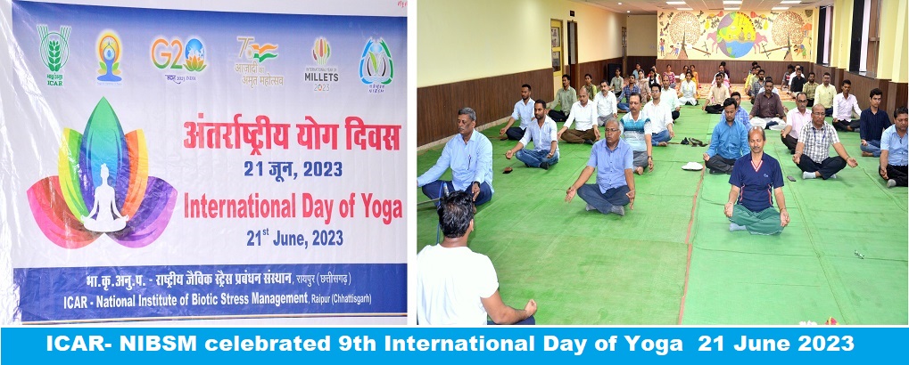 Yoga day 