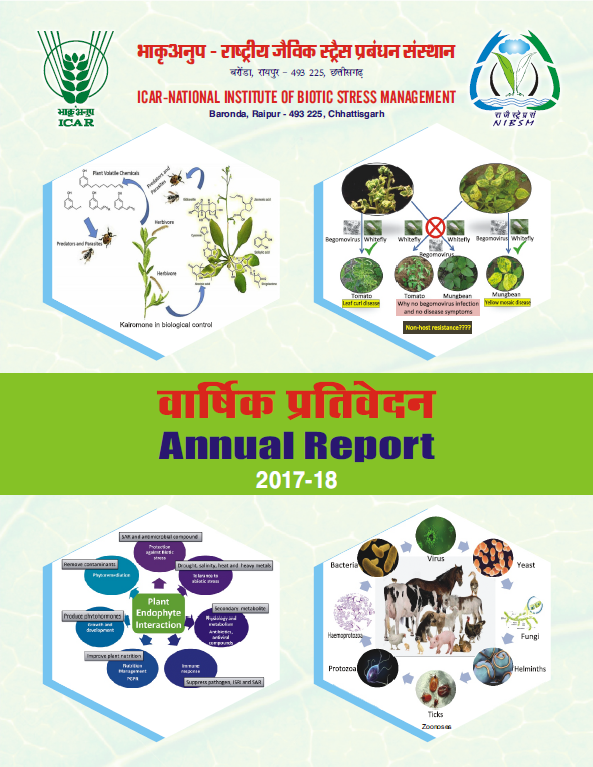 annual-report-2018