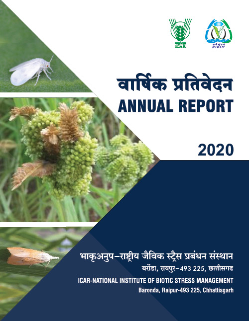 Annual report 2020-20