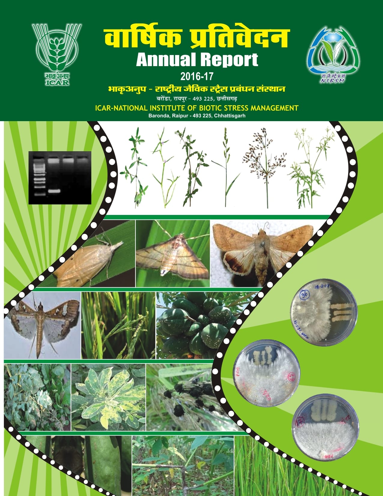 annual-report-2018